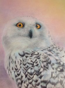 Snowy Owl In The Arctic Sky CP Online Class